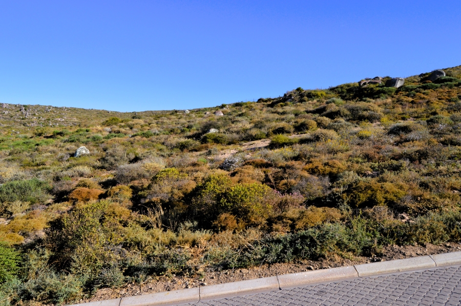 0 Bedroom Property for Sale in Steenbergs Cove Western Cape